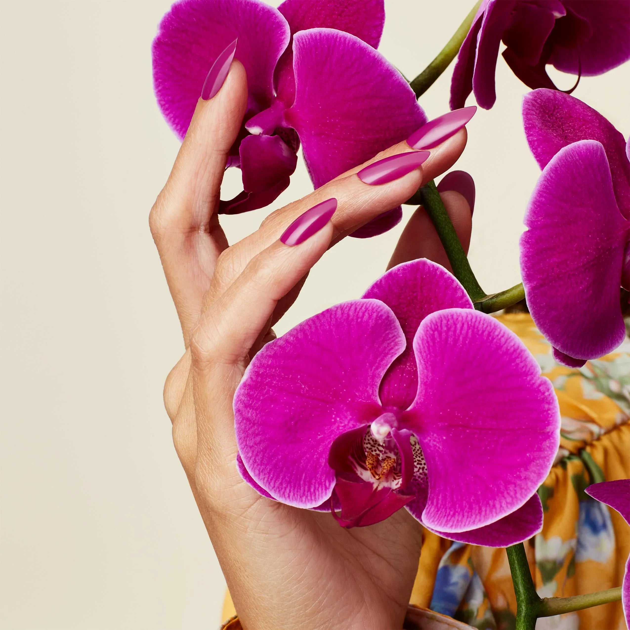 CND Shellac Gel Polish Orchid Canopy 0.25 oz